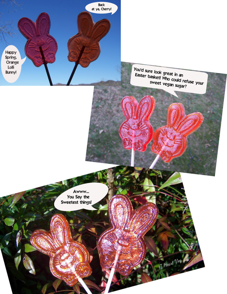 Vegan Lollipops